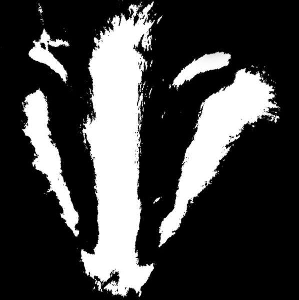 Lost Badger